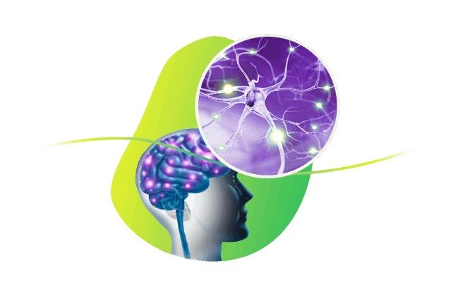 Image displaying sinapsis in a brain